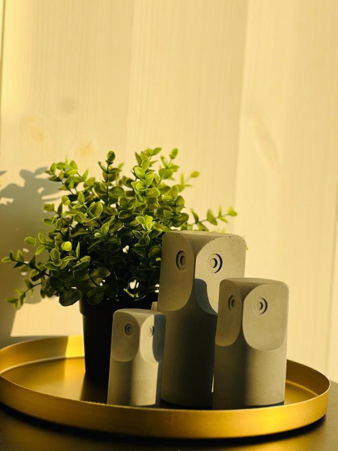 Aitvarai 41 Svencele ภายนอก รูปภาพ